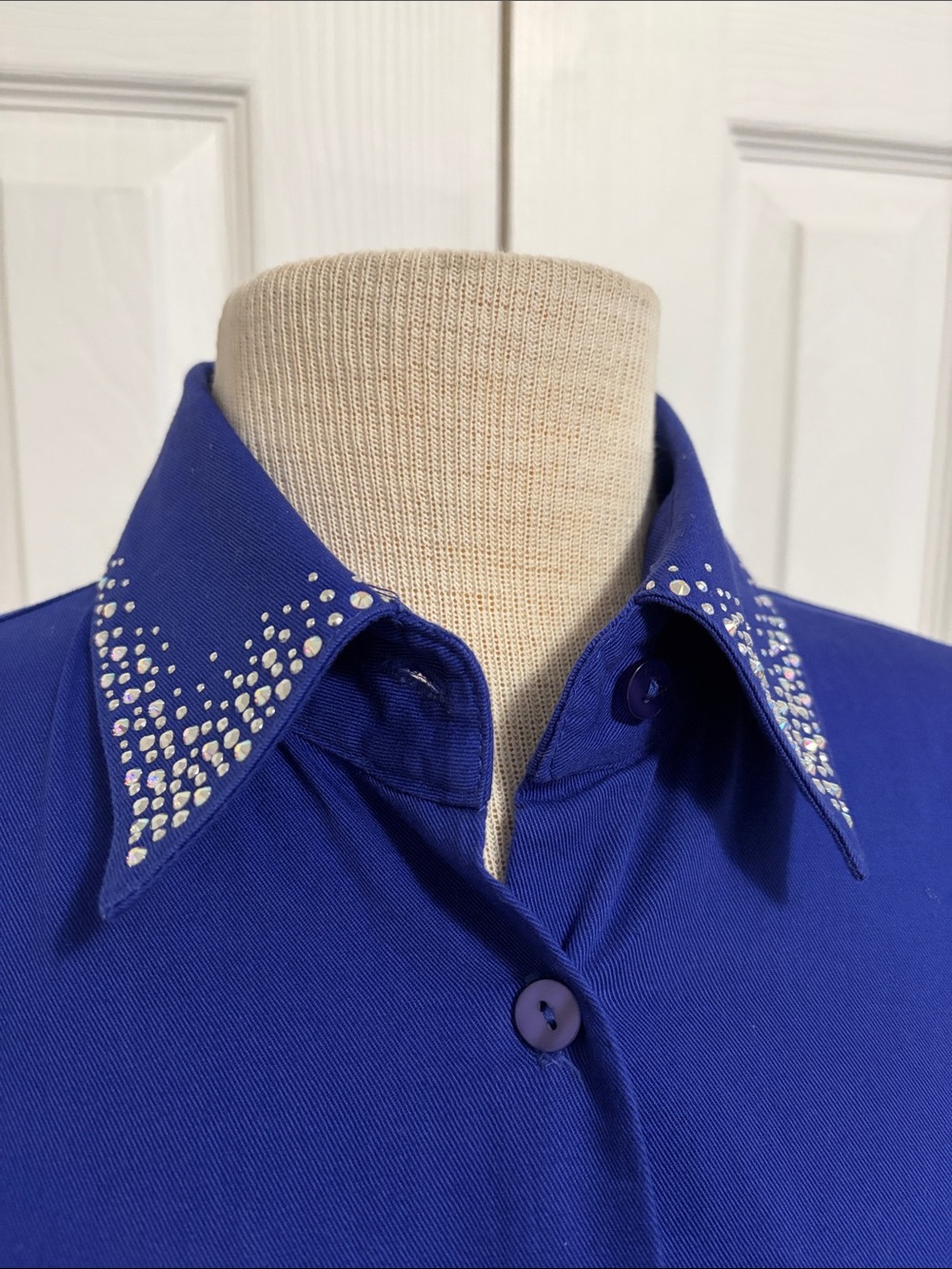 Christine Alexander Cobalt Blue Button-Down Top Embellished Collar Size Large - Picture 3 of 15